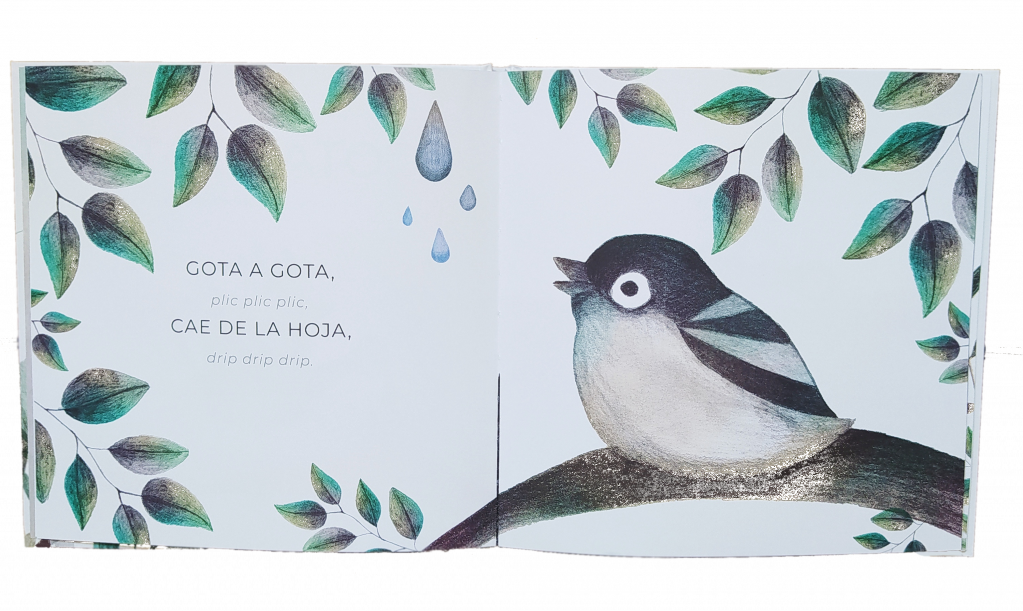página pájaro