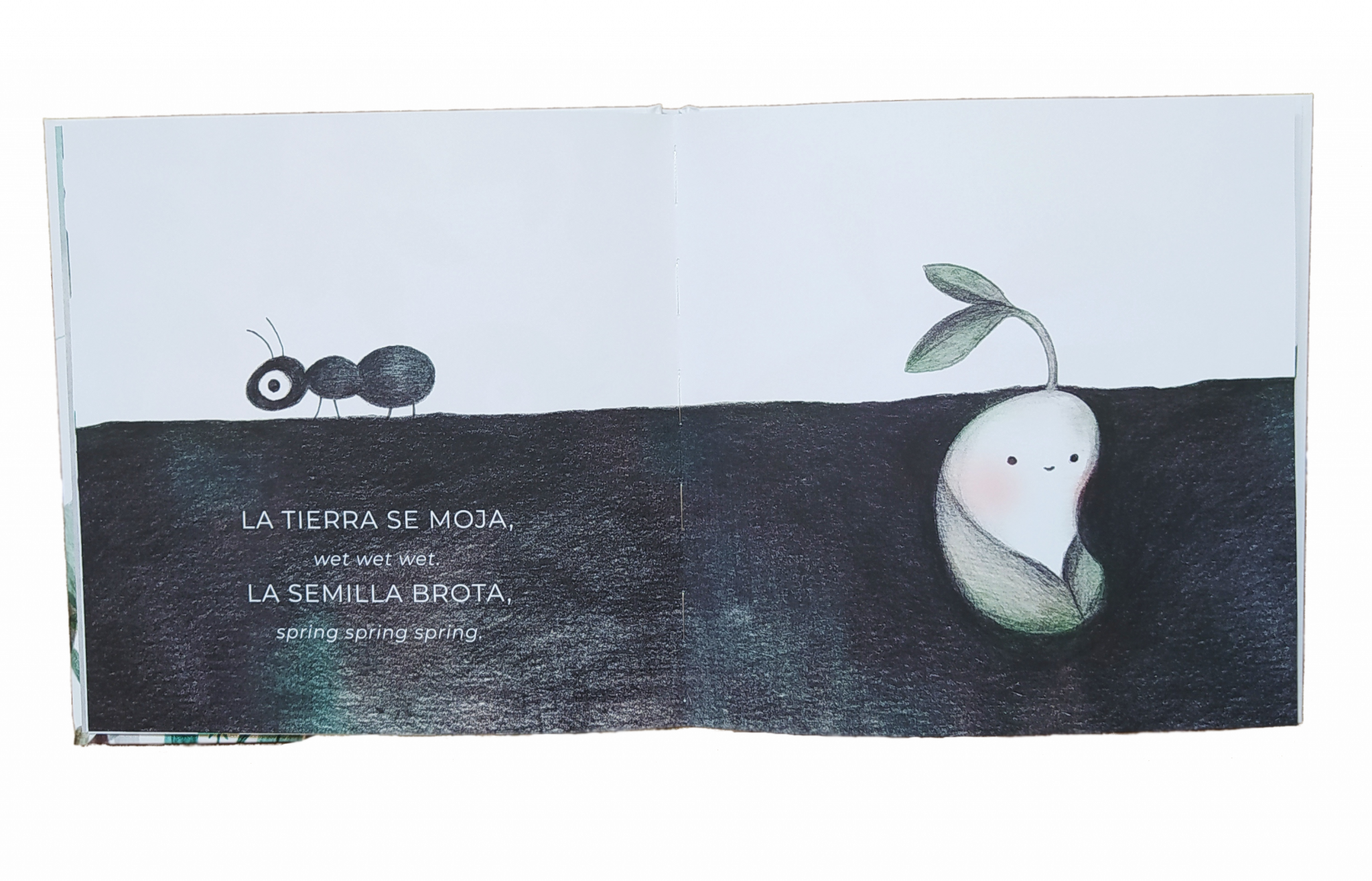 pagina semilla