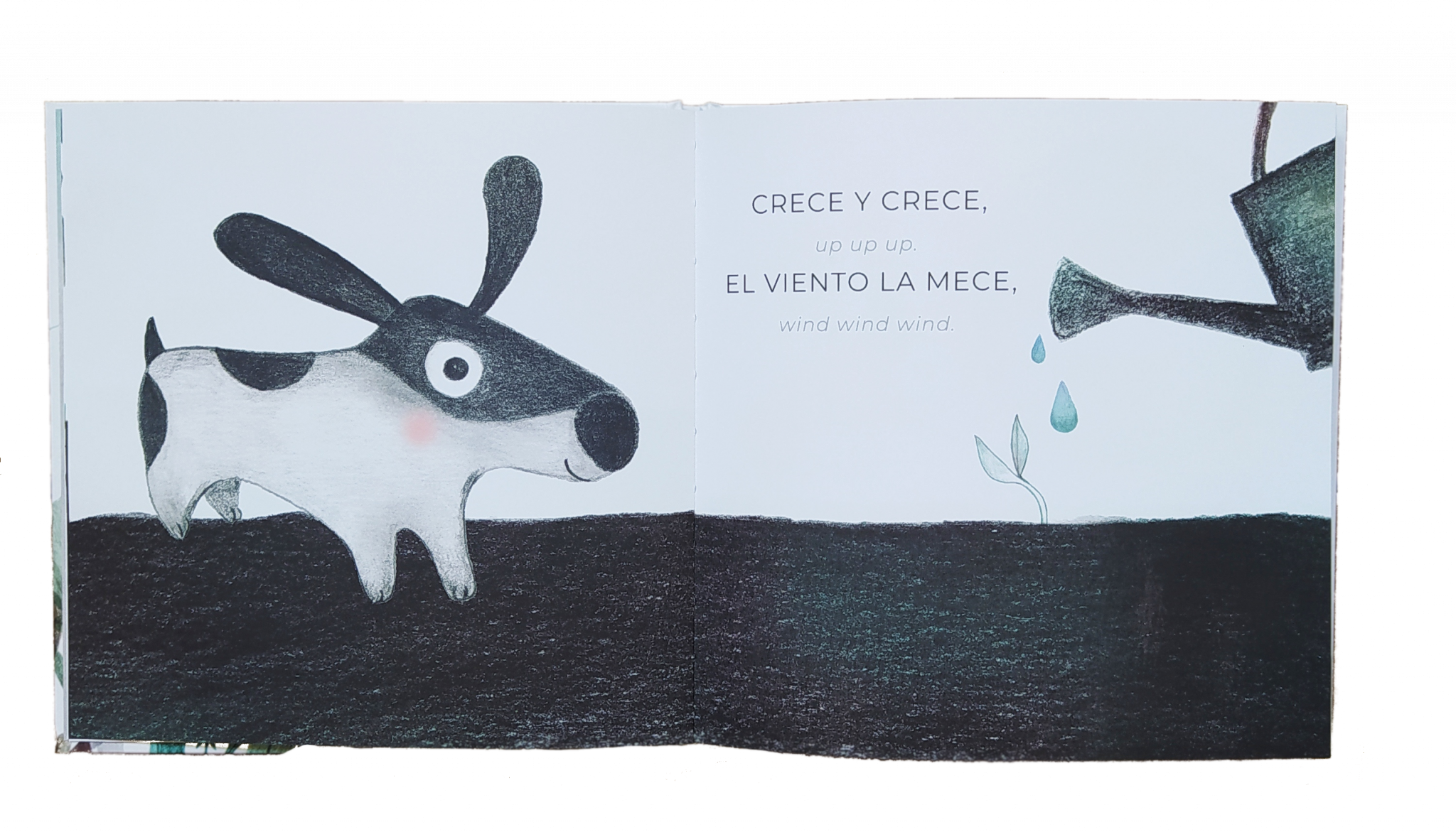libro infantil perro