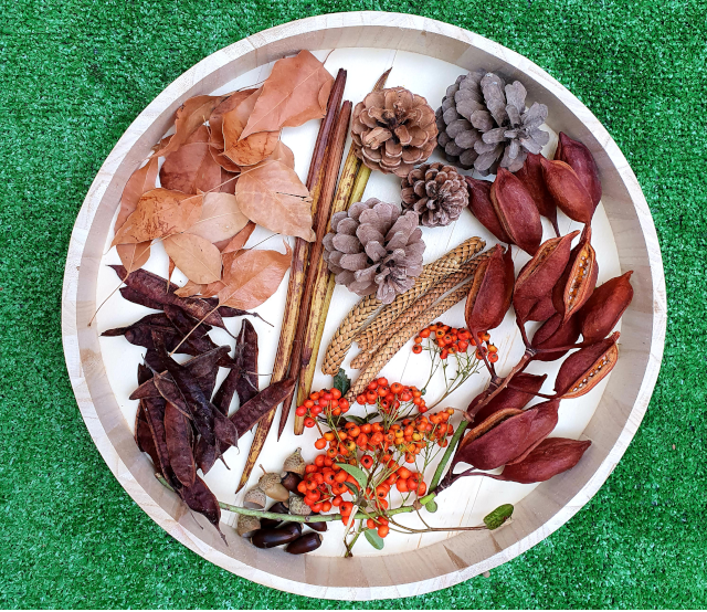 bandeja sensorial otoño