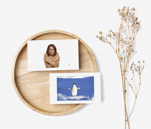 Tarjetas inivierno