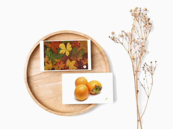 Tarjetas de imagenes - Otoño