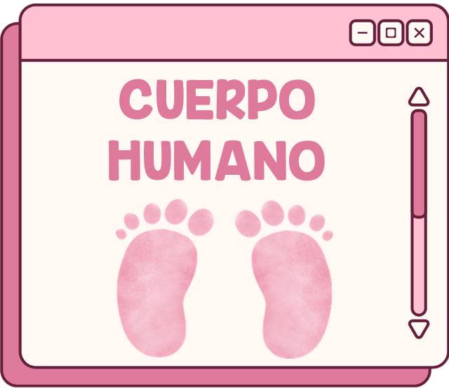 Cuerpo humano