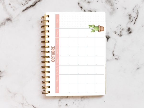 CUADERNO PARA SEÑOS Y MAESTRAS INFANTIL - DIGITAL - Imagen 11